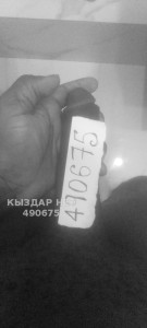Жиголо Астаны Парень№490675 Bristol Фотография №3701665