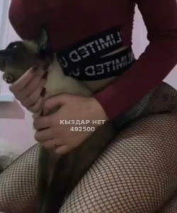 Проститутка Астаны Девушка№492500 Мысық Фотография №3717861