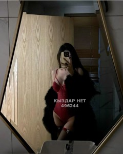 Проститутка Алматы Анкета №496244 Фотография №3741080